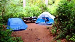 “Plan the Perfect Oregon Vacation: Hiking & Camping at Tahkenitch Falls” 4 Two tents and a picnic table in a forest with trees.