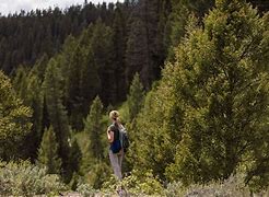hiker with backpack on a trail in the woods