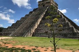 OIP 2025 01 07T102236.444 1