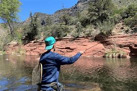 Beaver Falls Az Camping and Hiking Adventures 4 person fishing at a river with trees and shrubs