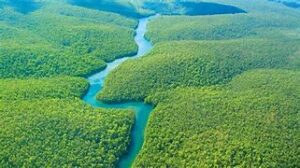 Amazon river in the Amazon rainforest