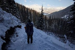person standing on a hill in the woods