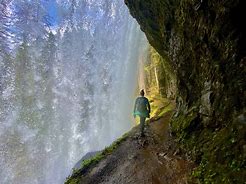 Person hiking in a forest on a trail with trees on a sunny day.