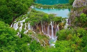 waterfalls in a rainforest
