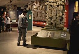 man looking at artifacts in a museum