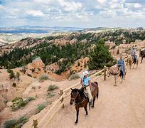 OIP 2025 02 24T094555.199