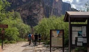 OIP 2025 02 24T231445.674