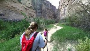 OIP 2025 02 24T232942.928