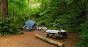 OIP 2025 02 25T103248.017