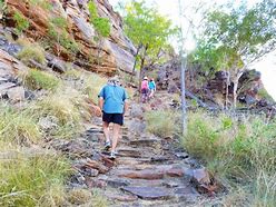 OIP 2025 02 28T090841.388