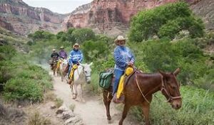 people riding horses on a path near steep cliffs with trees