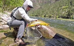 Cataract Canyon Utah Adventure Tours 5 person fishing in a river with woods surrounding the area with steep cliffs with mountains