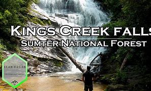 person standing looking at waterfalls in the forest.