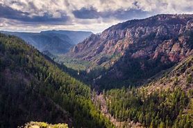 canyon with steep cliffs and a forest on a cloudy day