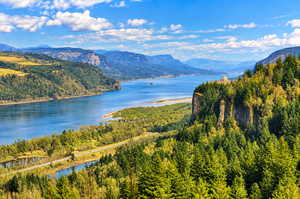 Beacon Rock WA. Camping And Hiking Tours 1 Bright panoramic view of the Columbia River Gorge near Beacon Rock, Washington, featuring a winding blue river, forested cliffs, green mountains, and a sunny sky filled with white clouds.