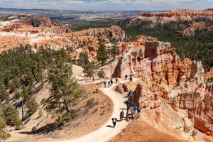 Hikers exploring a winding scenic trail through Bryce Canyon National Park in Utah, surrounded by towering orange and pink limestone hoodoos, rugged canyon cliffs, evergreen trees, and spectacular high-desert landscapes.
