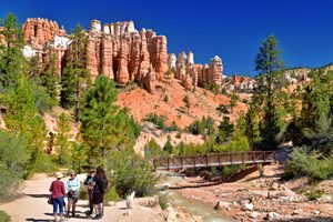Four backpackers hiking through the scenic wilderness of Bryce Canyon National Park in Utah, carrying colorful camping backpacks along a grassy trail surrounded by pine trees, green shrubs, and towering orange limestone cliffs.