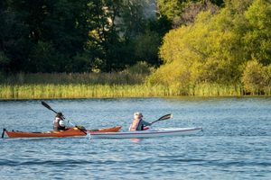 Beacon Rock WA. Camping And Hiking Tours 4 Two people paddling orange and white kayaks across calm blue water, with tall grasses, green shrubs, and trees lining the shoreline.