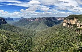 OIP 2025 03 03T084634.899 2