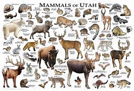 OIP 2025 03 20T094749.704