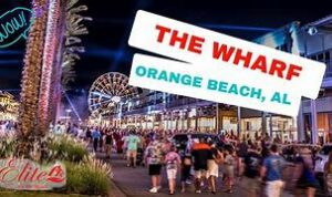 OIP 2025 03 21T225047.652