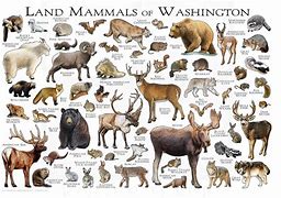 OIP 2025 03 22T093213.910