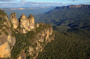 Forest landscape in Australia’s Blue Mountains featuring steep sandstone cliffs, dense eucalyptus trees, and a deep valley below.