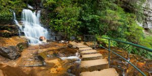 Stone steps and a railing lead through a dense jungle path surrounded by lush vegetation, with a cascading waterfall in the background.