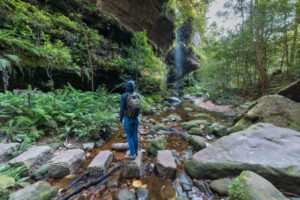 Person hiking with a backpack in a dense forest, navigating large rocks near a steep cliff, surrounded by towering trees and sunlight filtering through the canopy.
