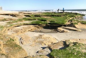 Two people walking along a beach with green moss-covered rocks and rock formations.