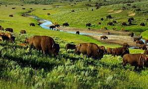 OIP 2025 04 03T111024.564