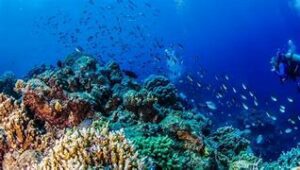 OIP 2025 04 05T104825.677