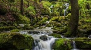 OIP 2025 04 06T092052.808