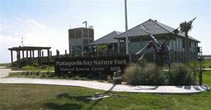 OIP 2025 04 16T114349.765