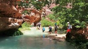 OIP 2025 04 17T132504.538