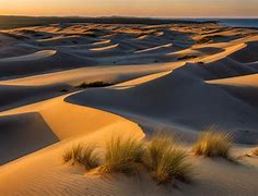 OIP 2025 04 18T010626.882