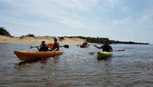 OIP 2025 04 18T013208.680