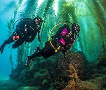 OIP 2025 04 21T093546.932