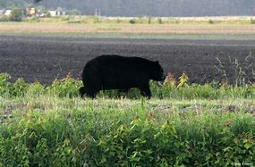 OIP 2025 04 22T131020.828