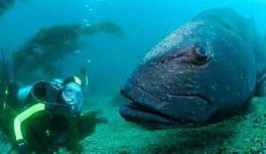 OIP 2025 04 23T142439.418