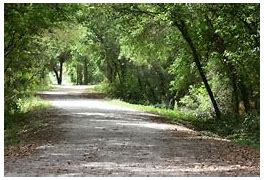 OIP 2025 04 26T101223.996