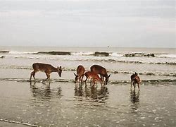 OIP 2025 04 26T105547.400