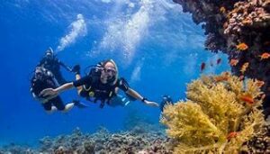 OIP 2025 04 28T001455.491