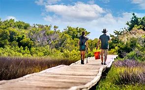 OIP 2025 04 30T121940.614