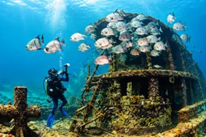 Cedar Island Beach NC, Camping & Hiking Tours 3 Scuba diver exploring a coral-covered underwater shipwreck surrounded by a large school of fish in clear blue ocean water.