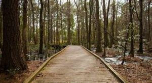 OIP 2025 05 01T104529.994