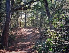 OIP 2025 05 01T235340.913