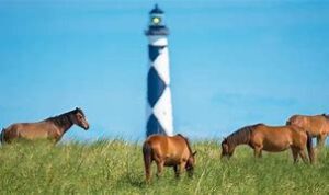 OIP 2025 05 02T000904.356