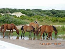 OIP 2025 05 02T105431.998