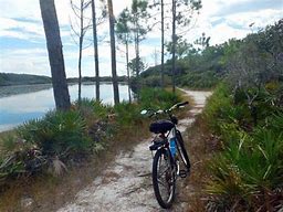 OIP 2025 05 02T233417.603